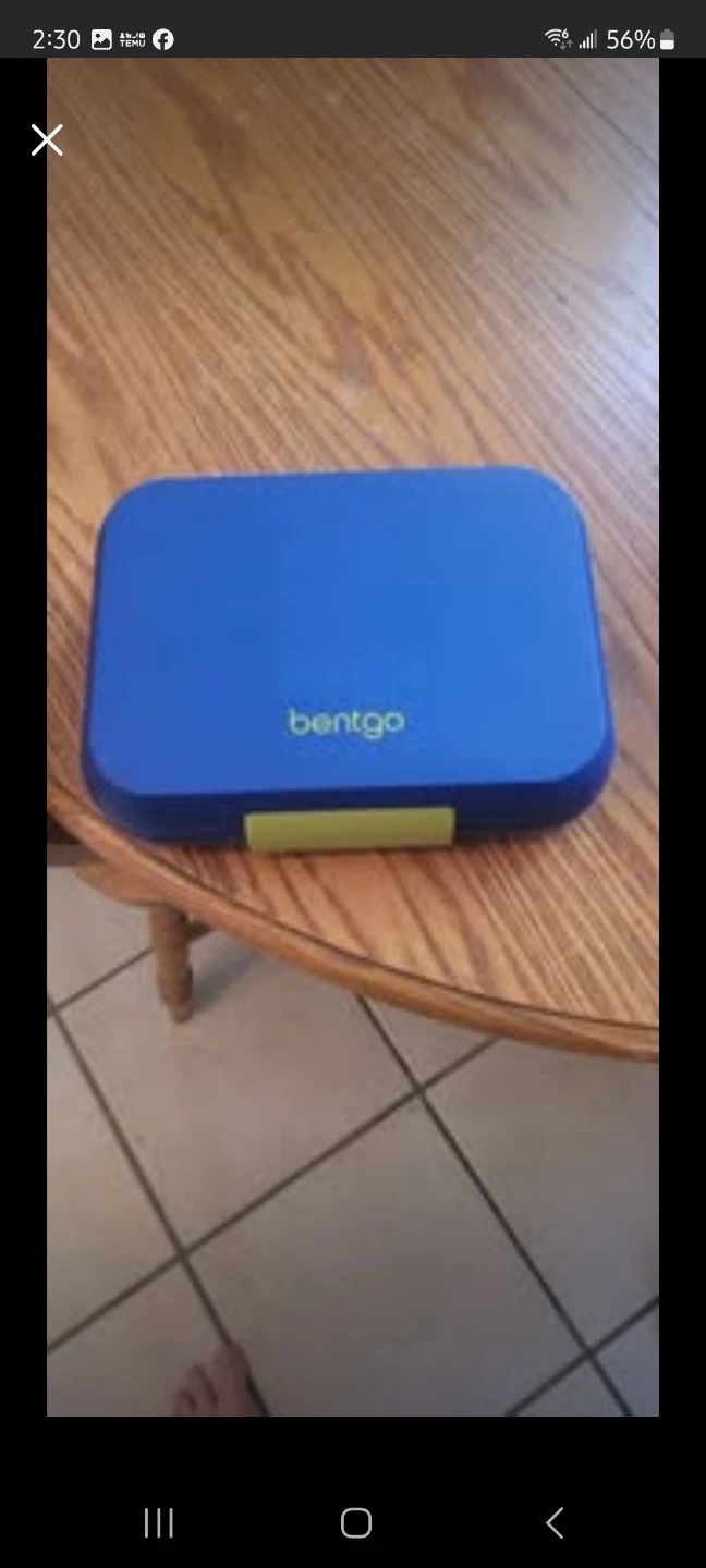 Bentgo Kids Lunch Box