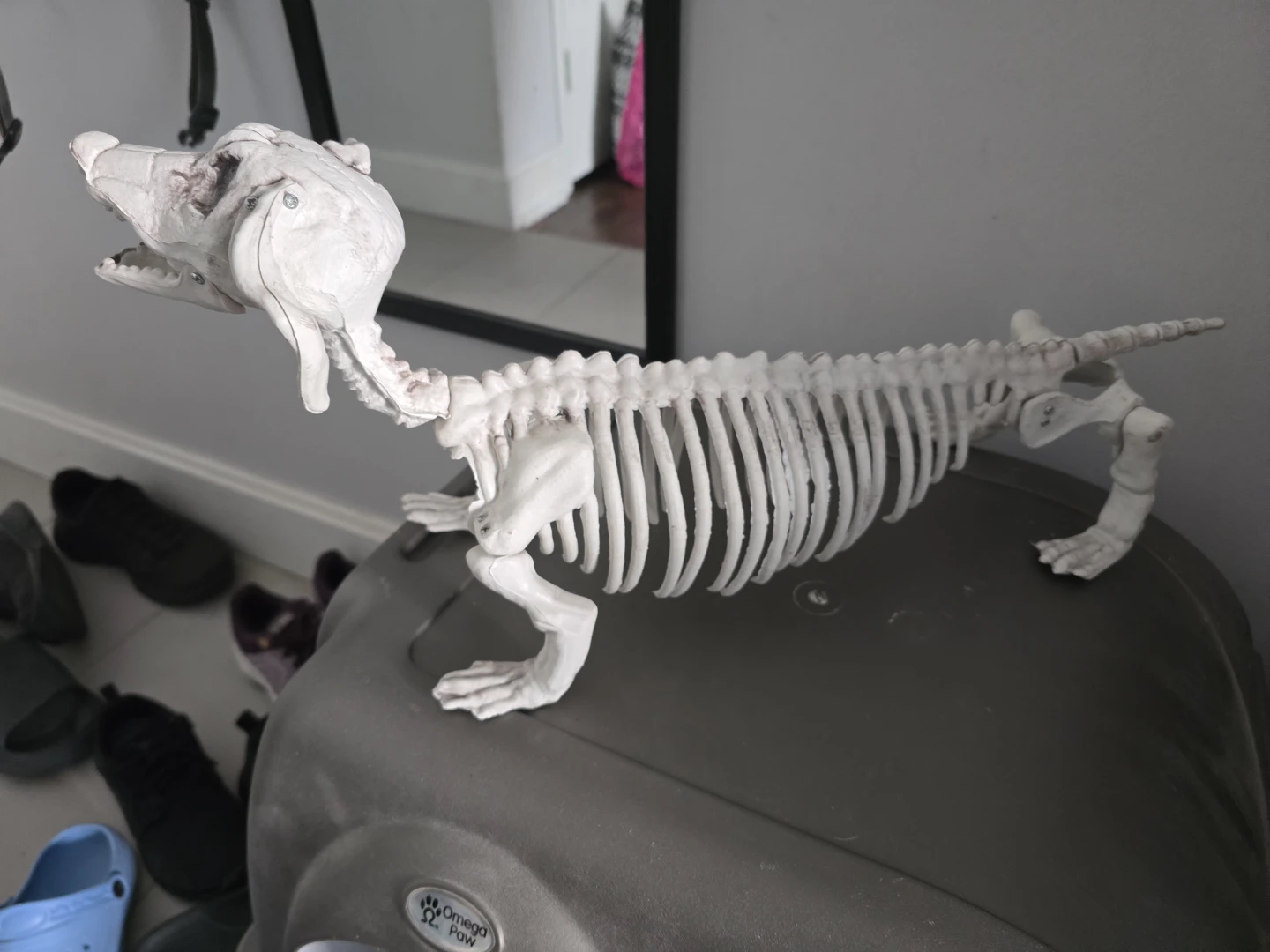 Skeleton Dog Prop - photo 3