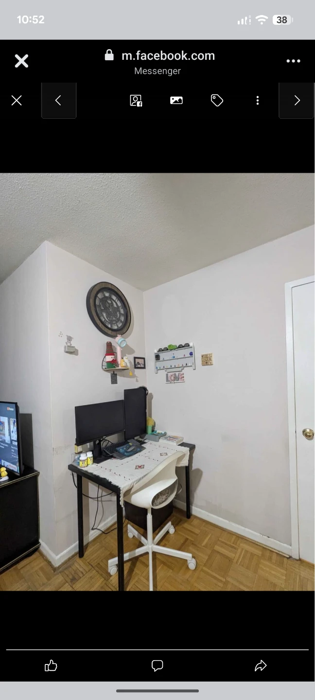 Den / Living Room for rent (2 months only) - photo 3