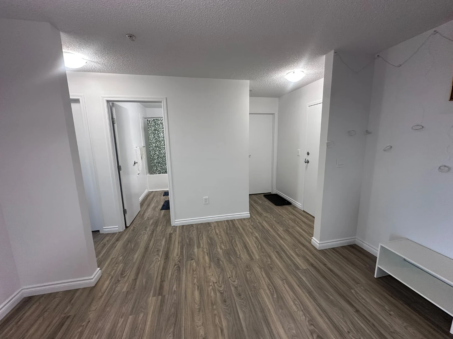 1 bedroom for rent - photo 4