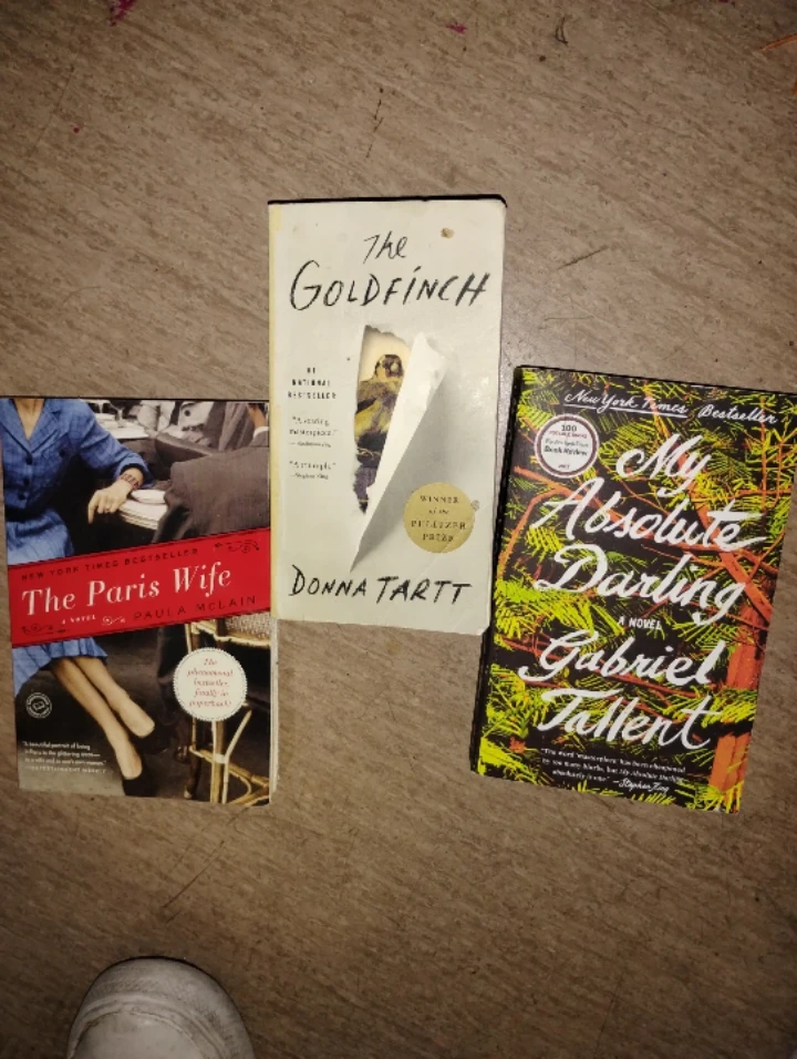 3 Award Winning Fiction Novels!!