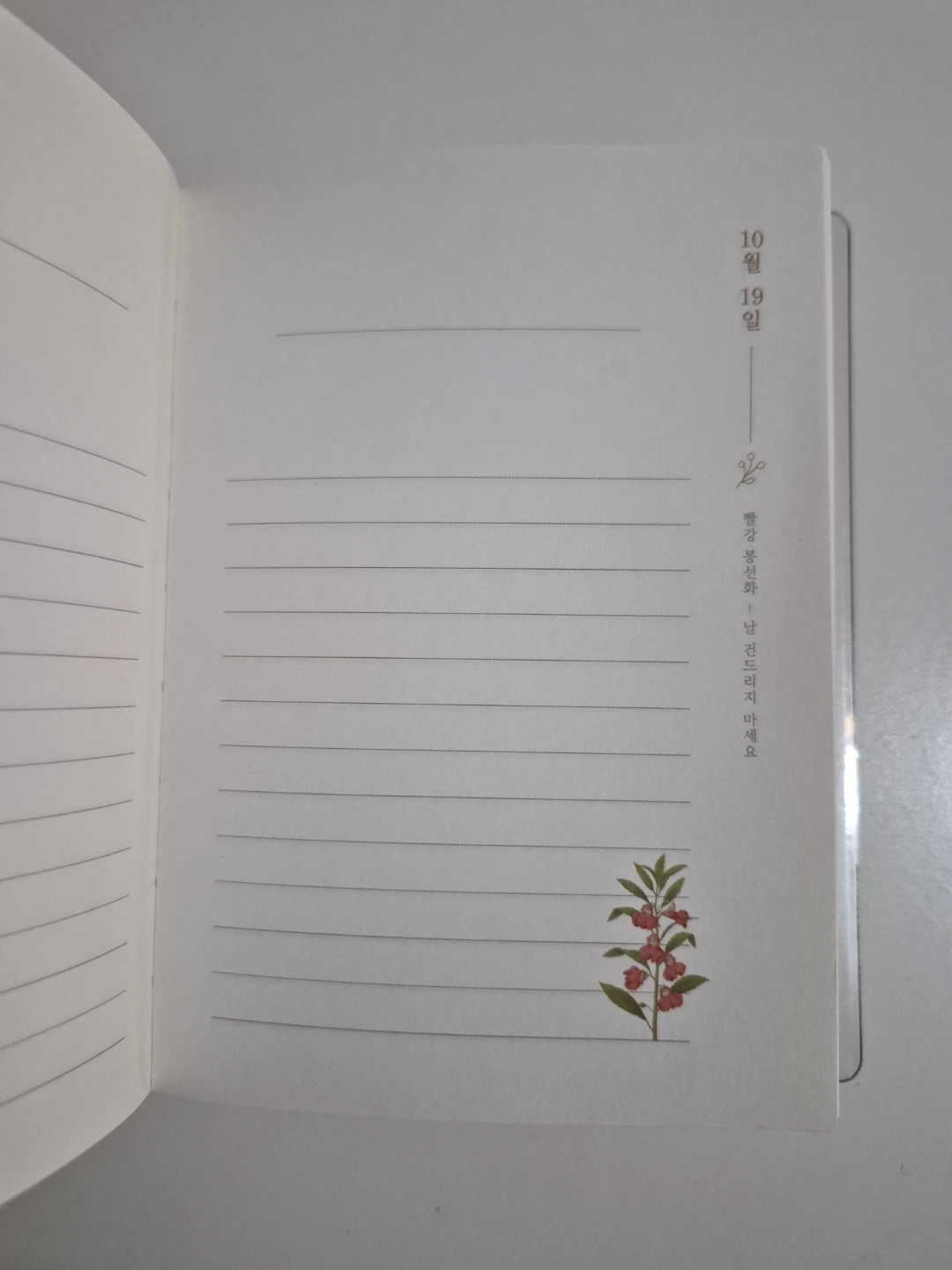 Indigo Birth Flower Daily Diary Journal - Pink Lily - photo 5