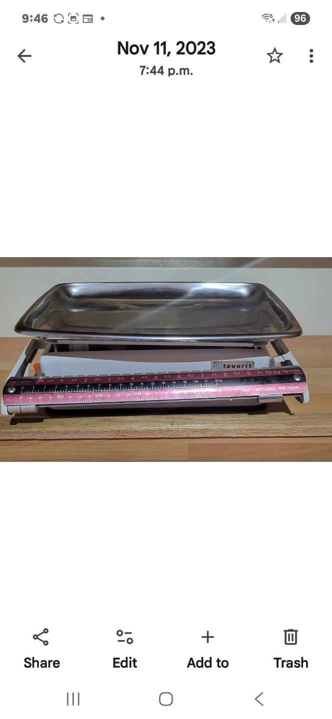 Favorit 10kg Kitchen Scale with Stainless Tray