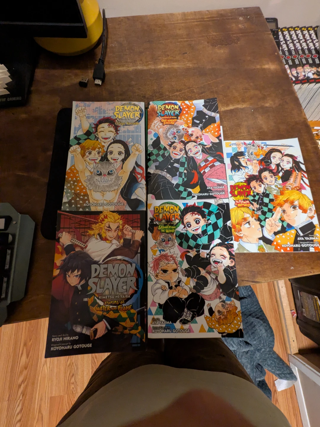 Demon Slayer Complete Box Set