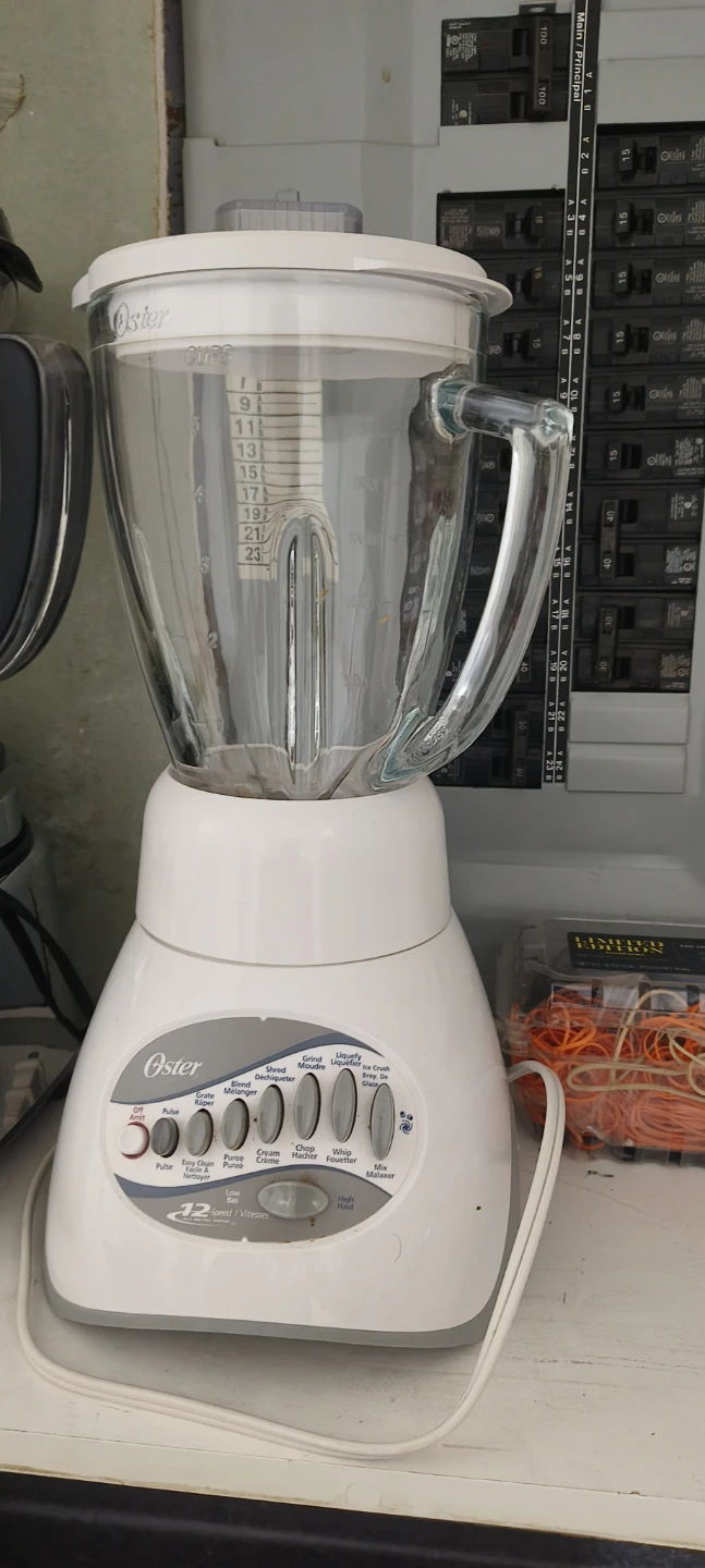 Oster 12-Speed Blender