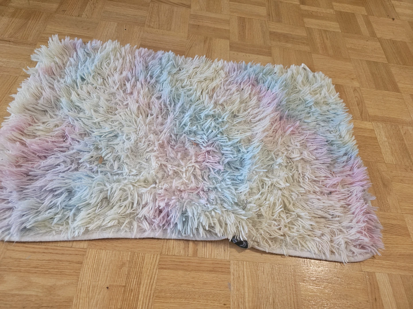 Pastel Rug