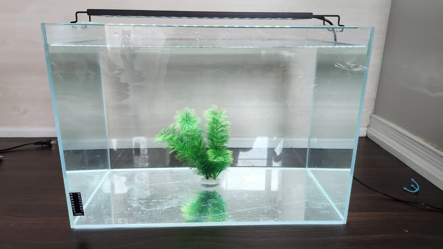 High quality 15 gallon rimless tank - photo 3