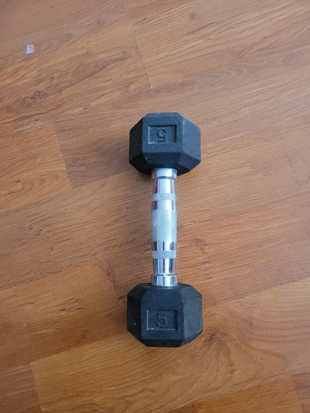 5 lb Hex Dumbbell