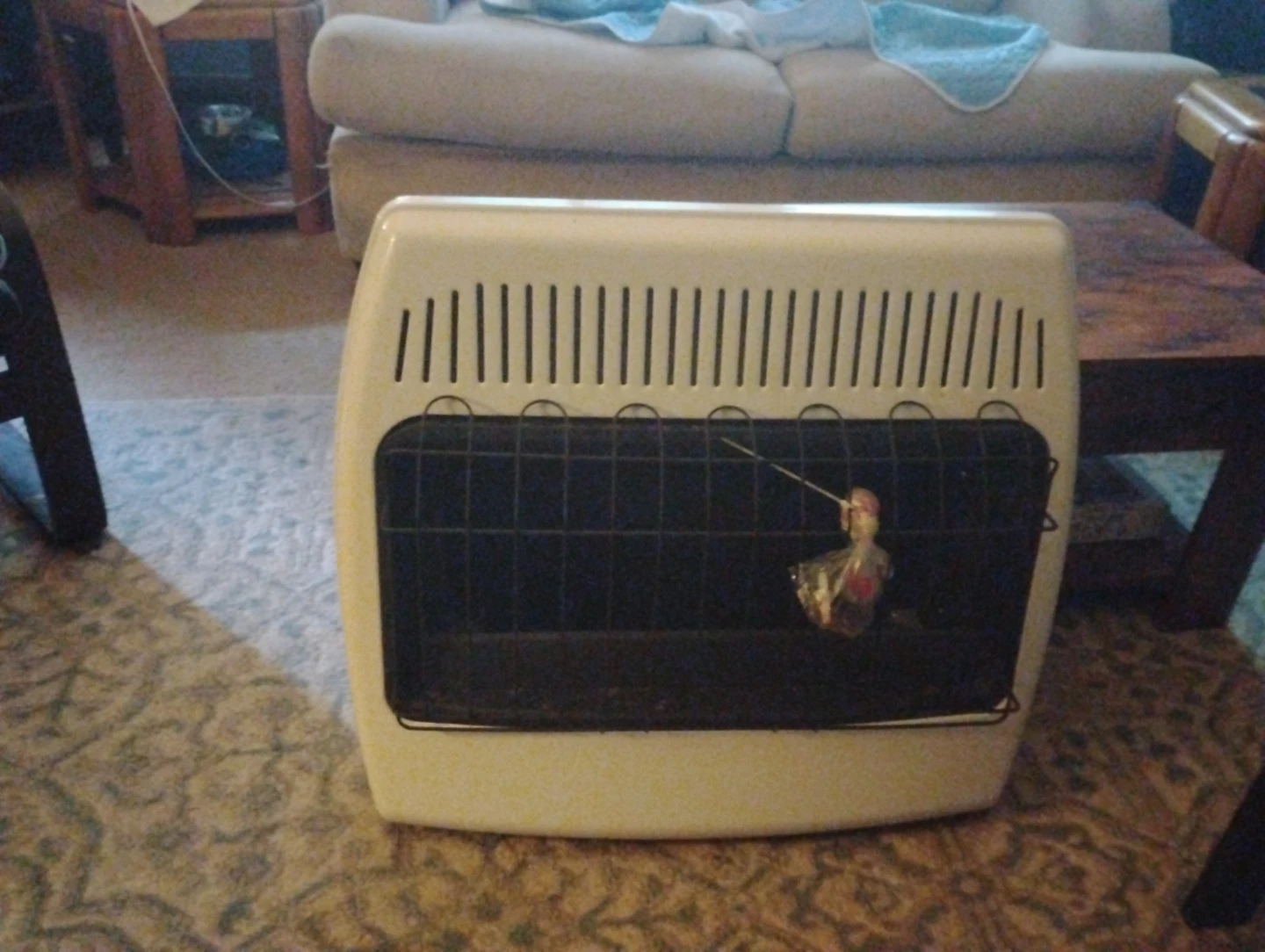 Indoor /outdoor Propane Heater