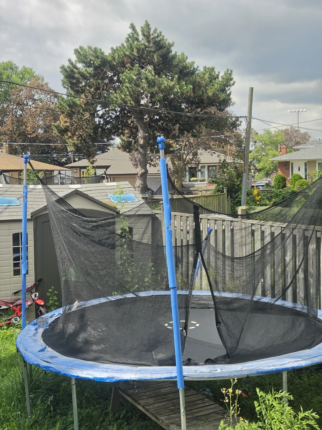 Blue Trampoline with Safety Net - photo 4