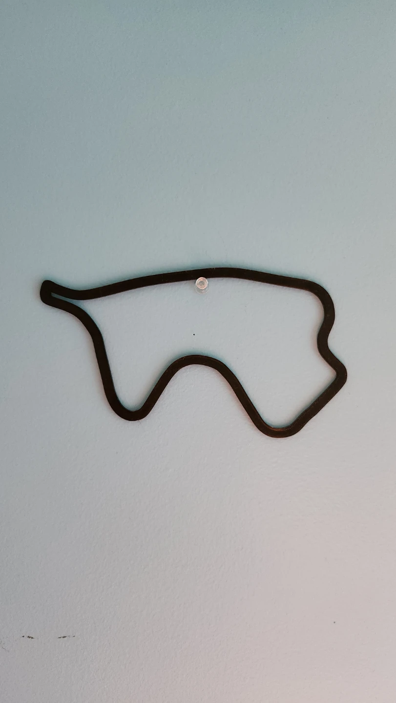 3D Printed Racetracks - photo 3