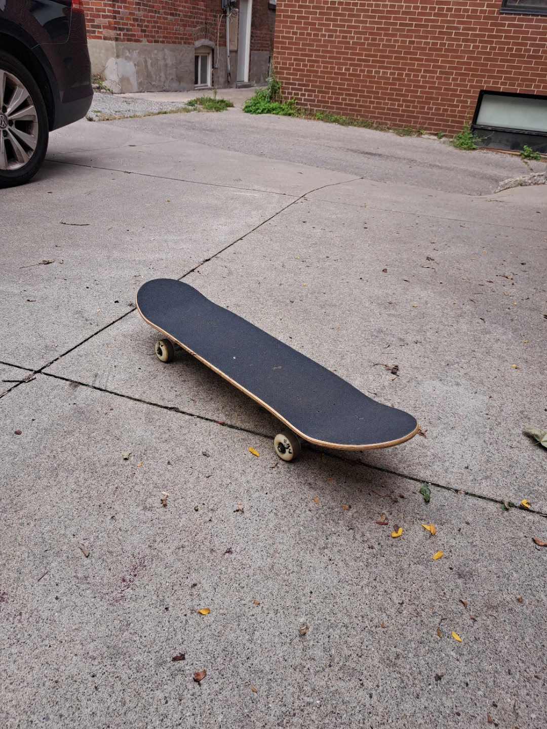 Basic Skateboard