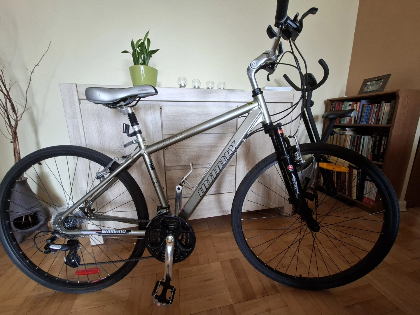 Infinity Plateau Bike