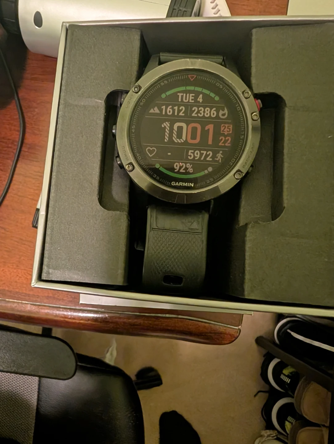 Garmin Fenix 5 fitness watch
