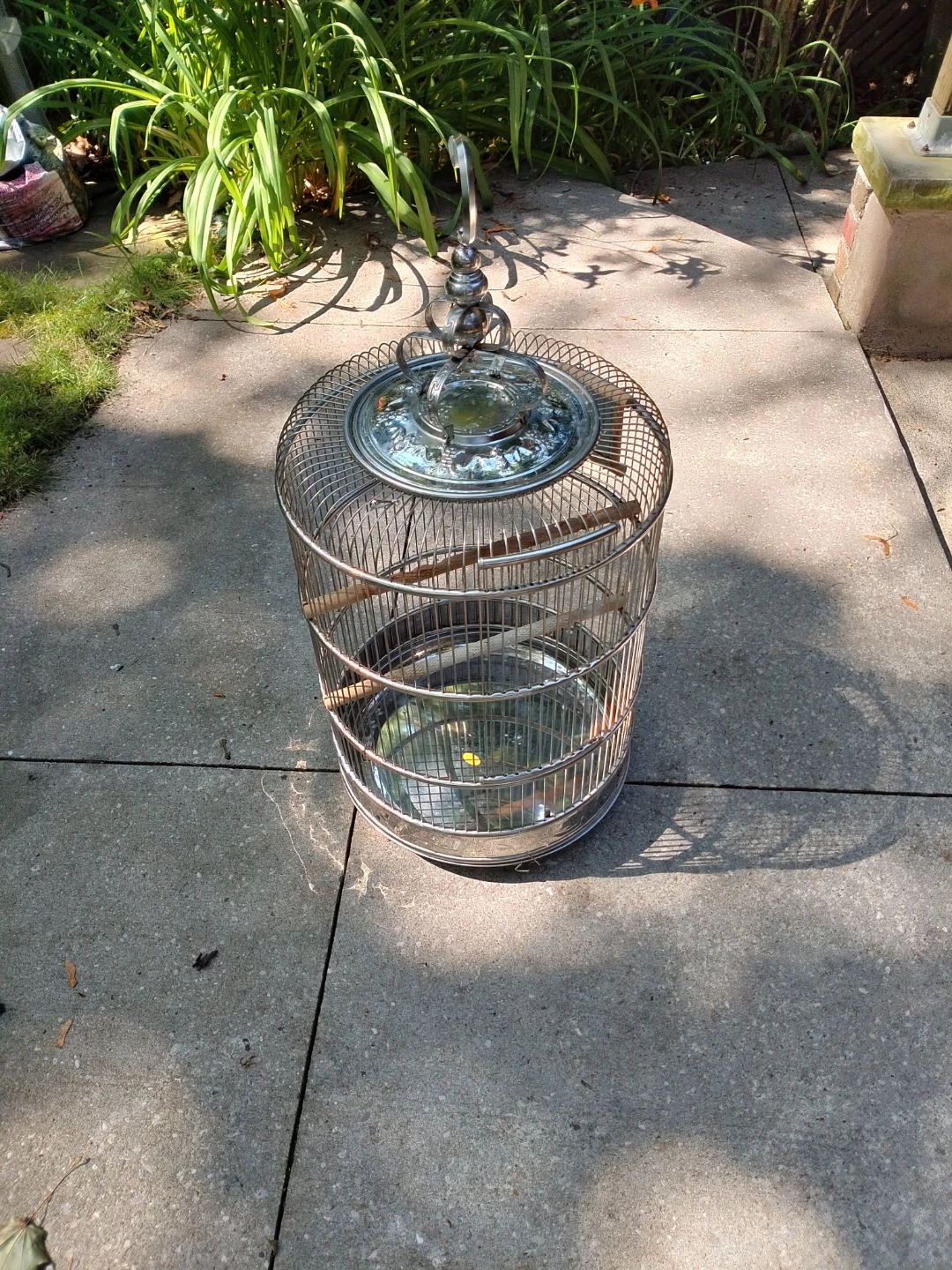 Ornate, Decorative Stainless Steel bird cage