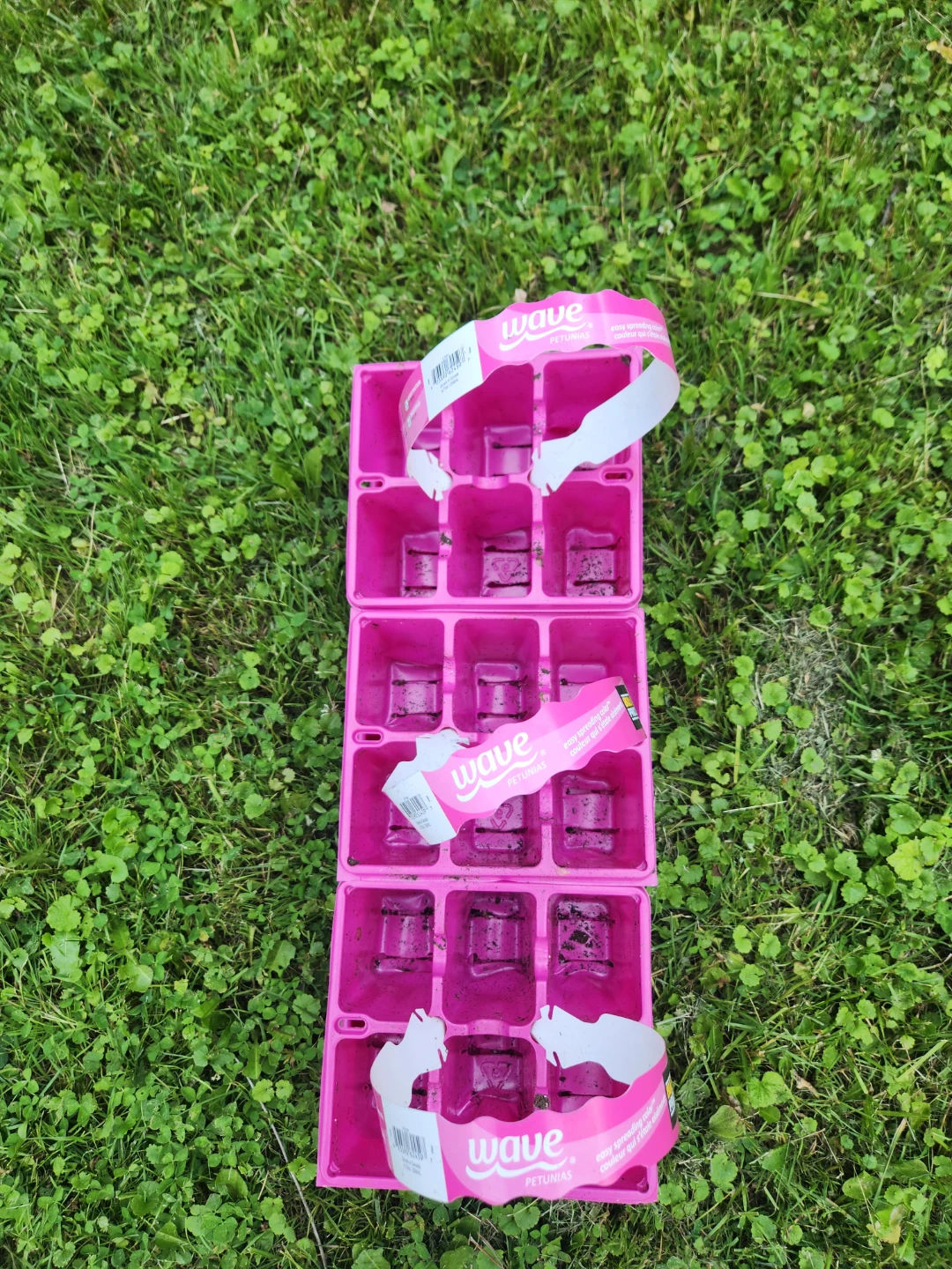 Free  Seedling Trays (Set of 3)