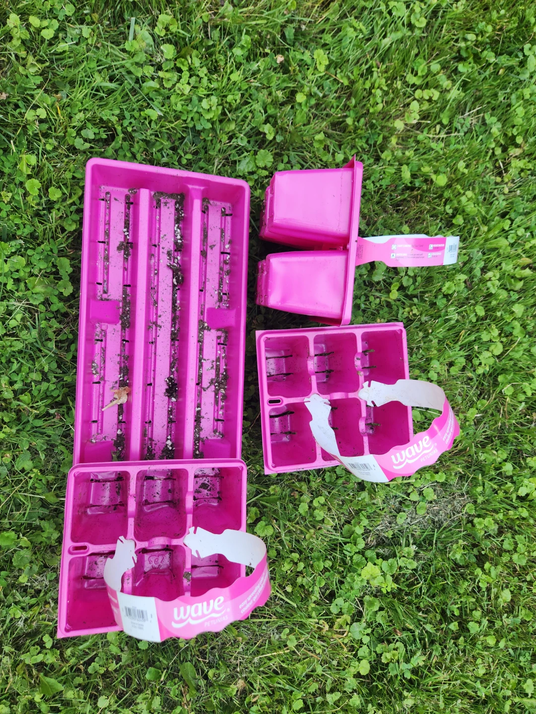 Free  Seedling Trays (Set of 3) - photo 3