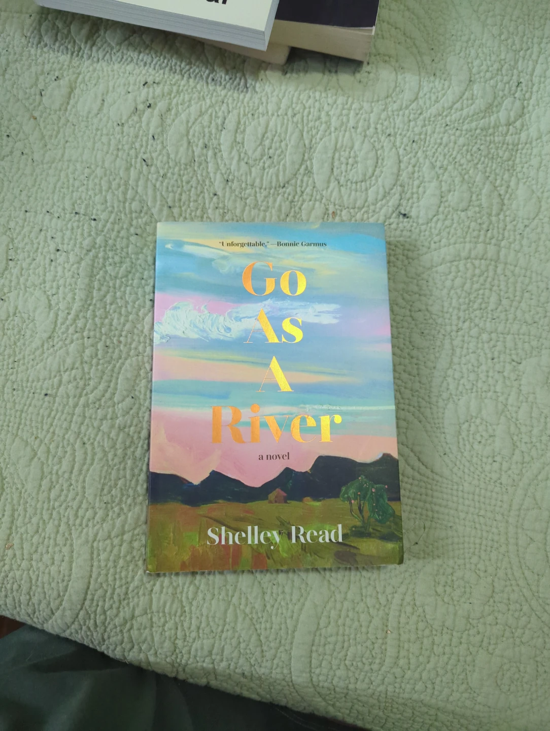 Go As A River Novel by Shelley Read