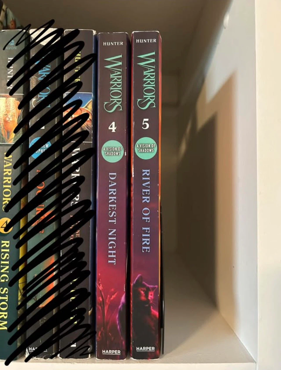 Warrior cats A Vision Of Shadows Books 4 and 5 - photo 2