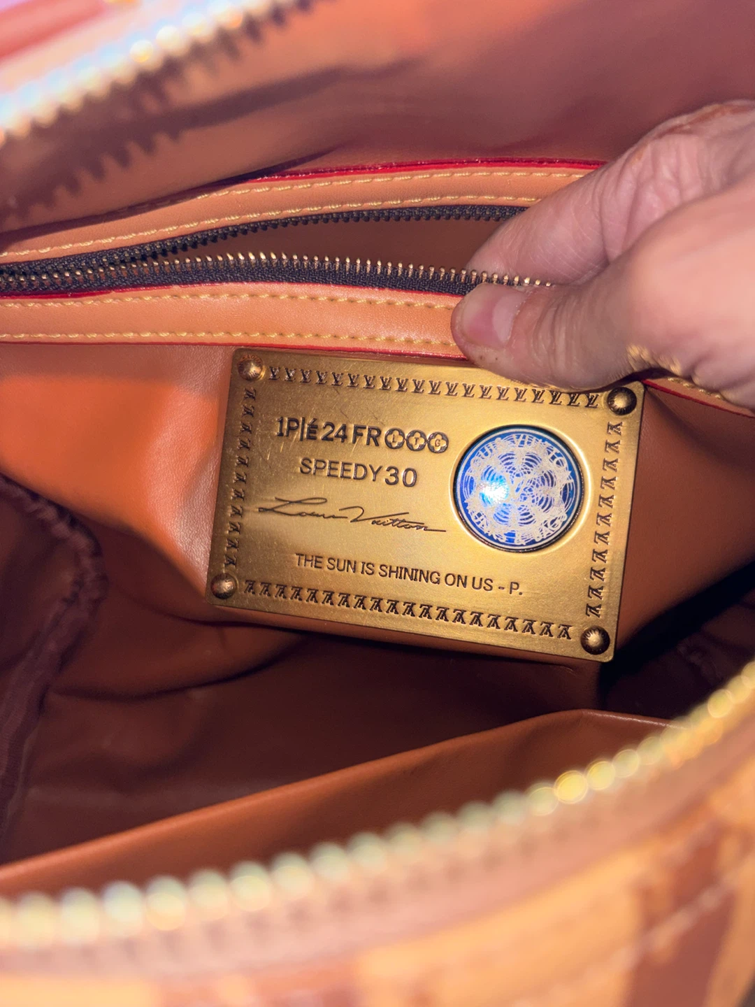 Speedy 30 Monogram Striped Bag