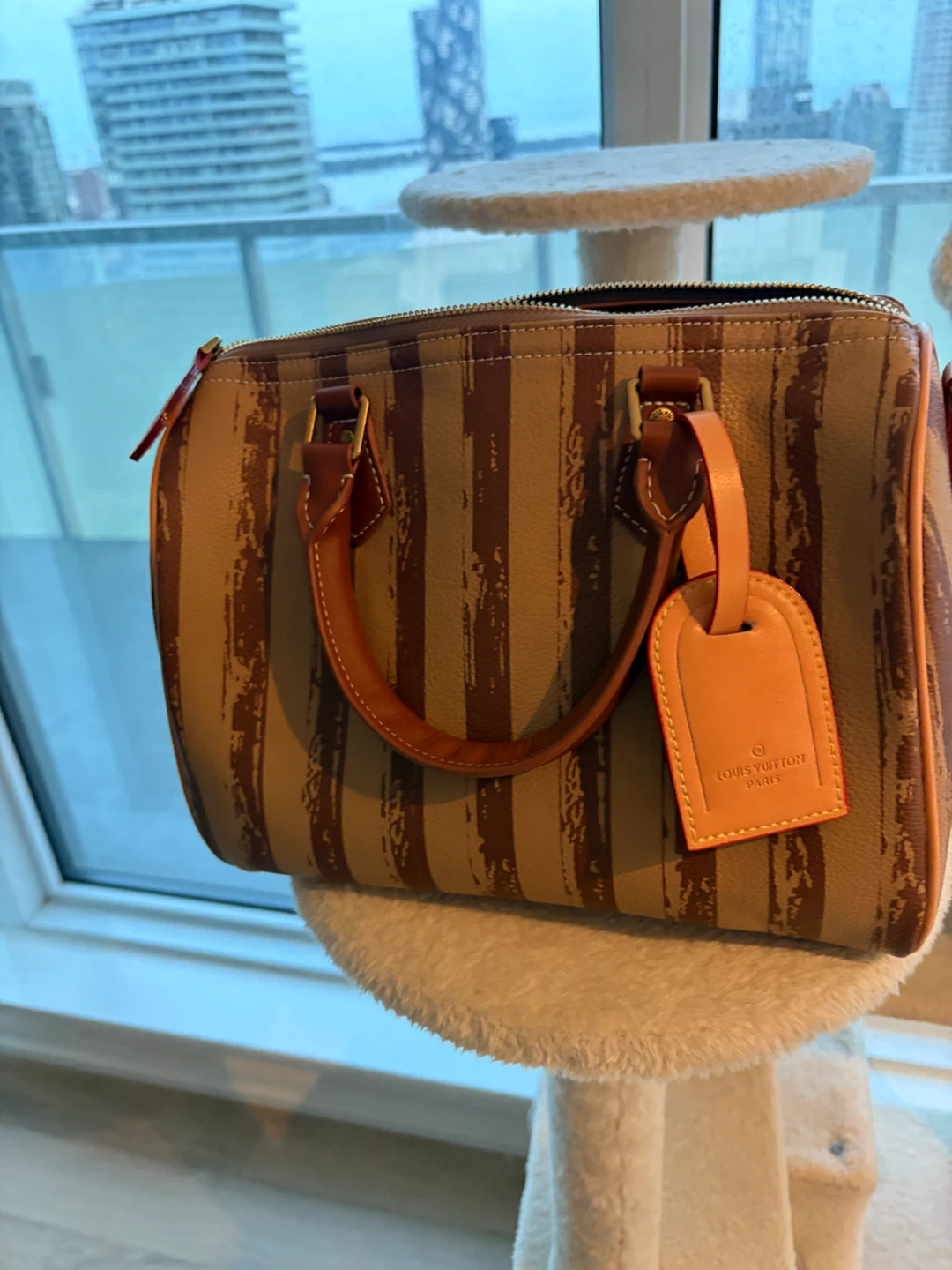 Speedy 30 Monogram Striped Bag - photo 2