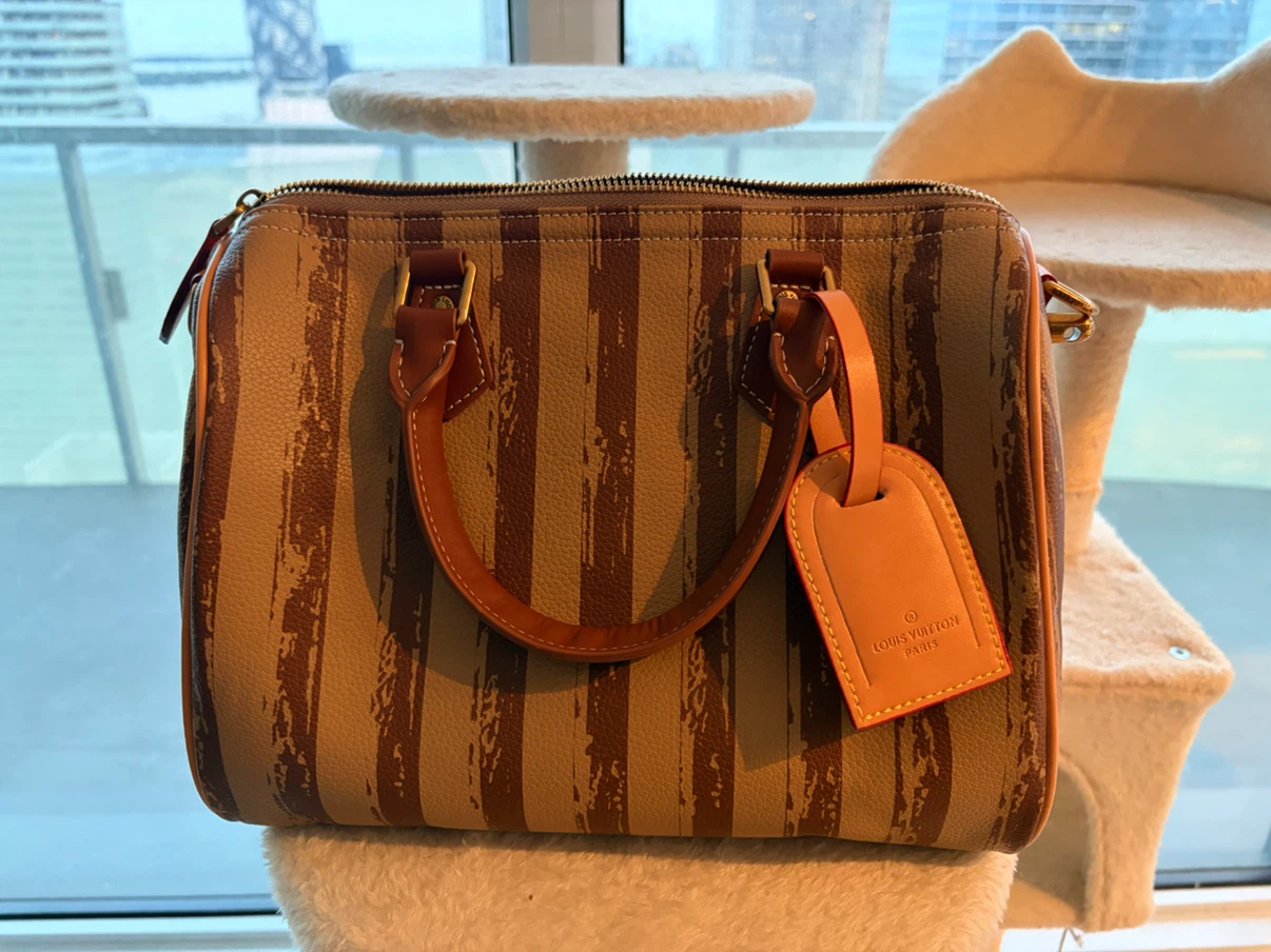 Speedy 30 Monogram Striped Bag - photo 3