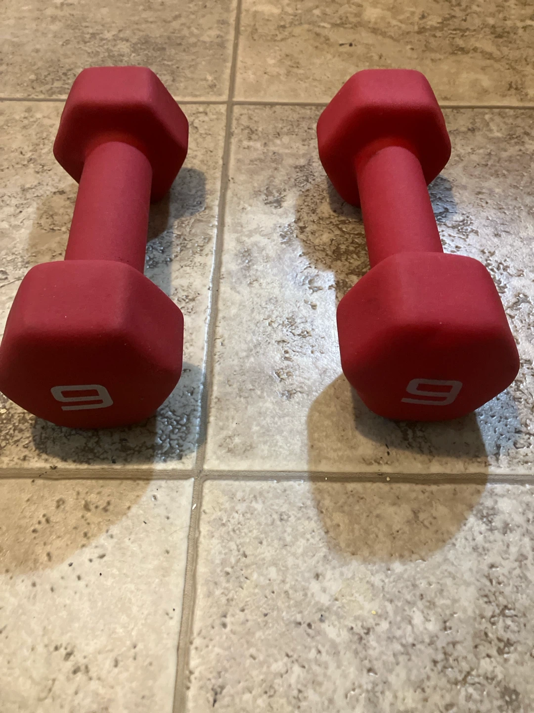 Pair of 9lb Dumbbells