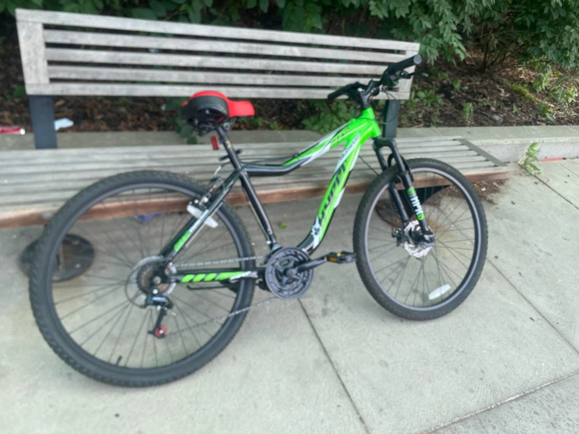 Schwinn mountain bike