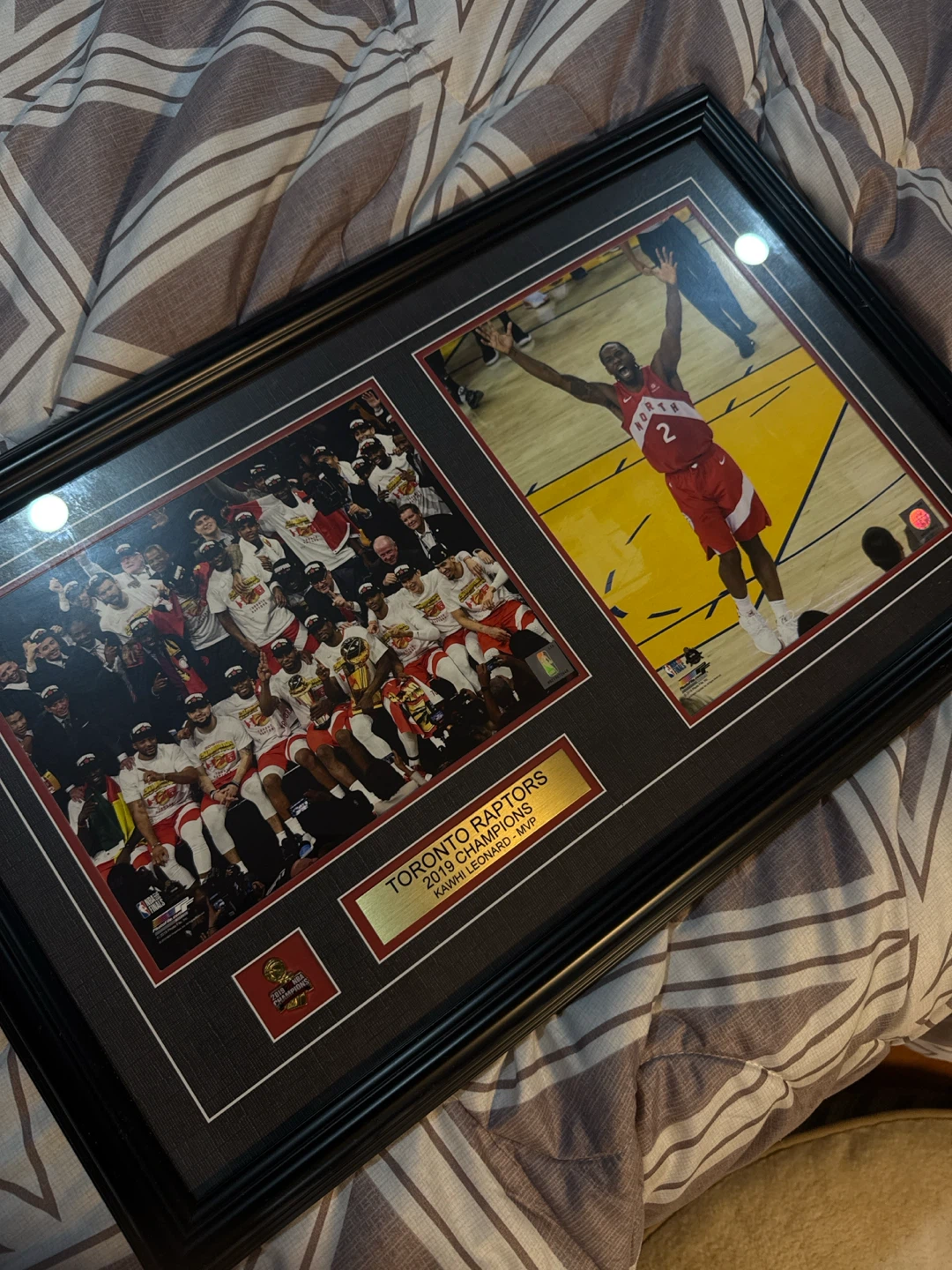 Toronto Raptors 2019 NBA Champions Framed Photo