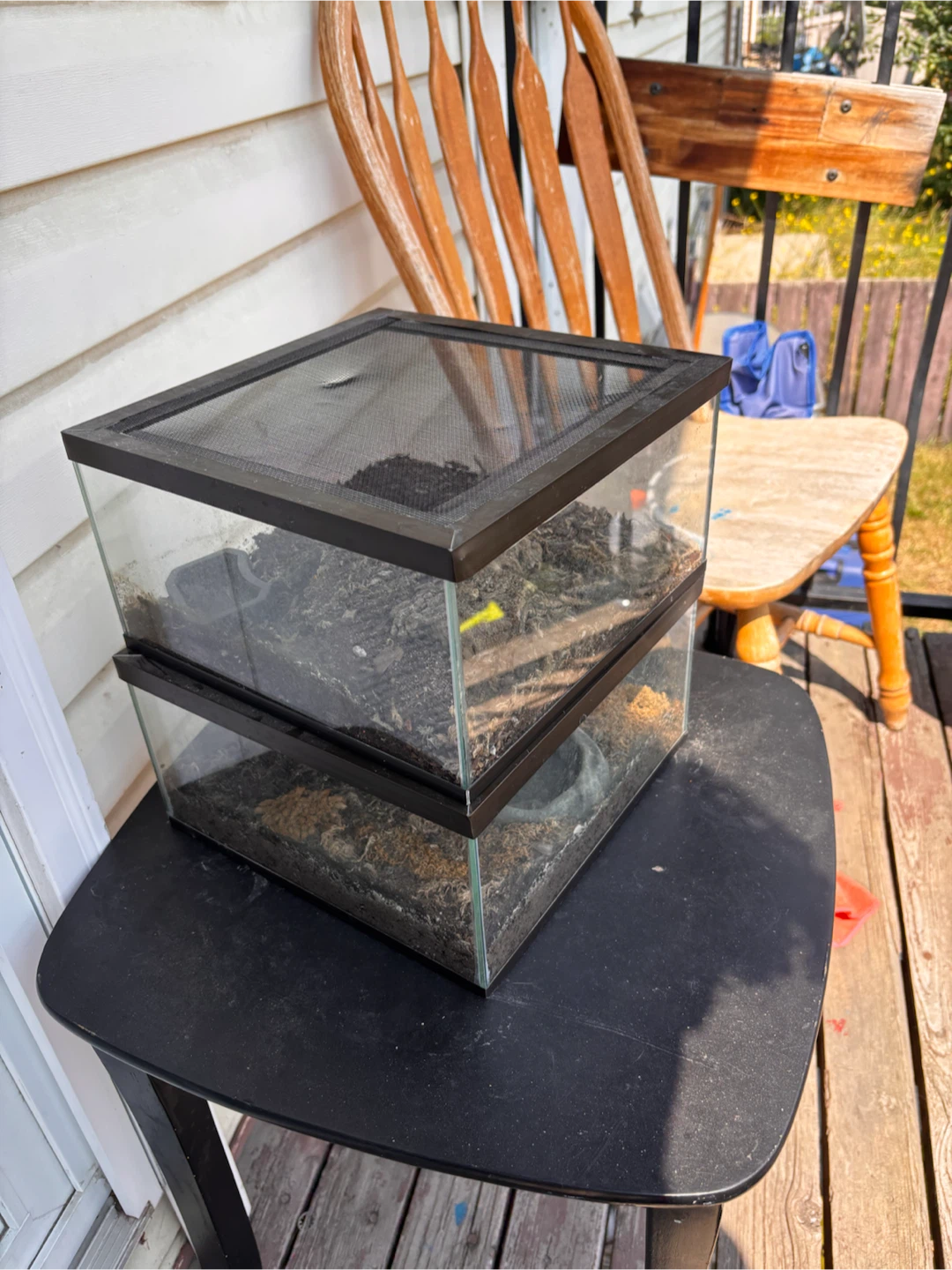 Glass Terrarium Tank with Screen Lid