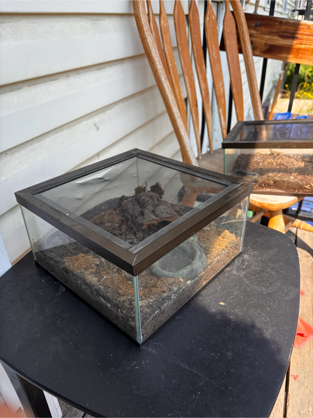 Glass Terrarium Tank with Screen Lid - photo 2