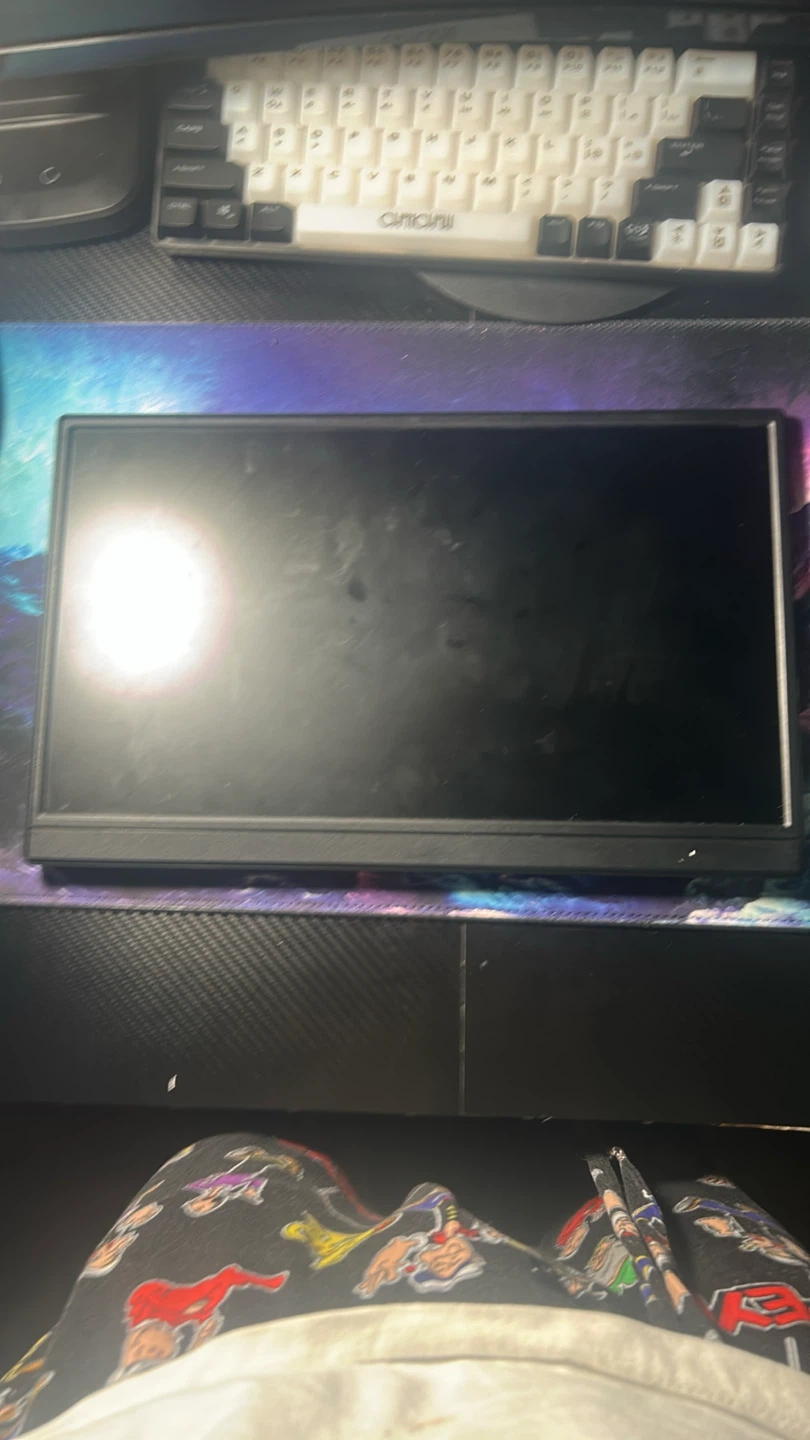 Portable Monitor