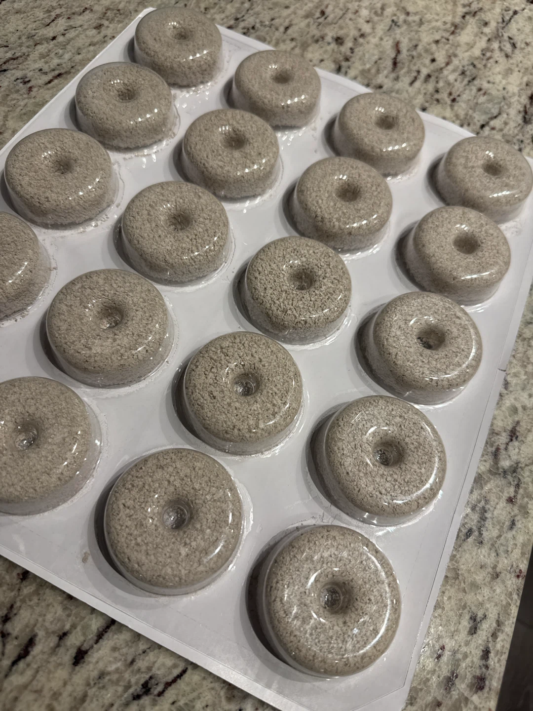 Mosquito Dunks/Bits for Fungus Ghats
