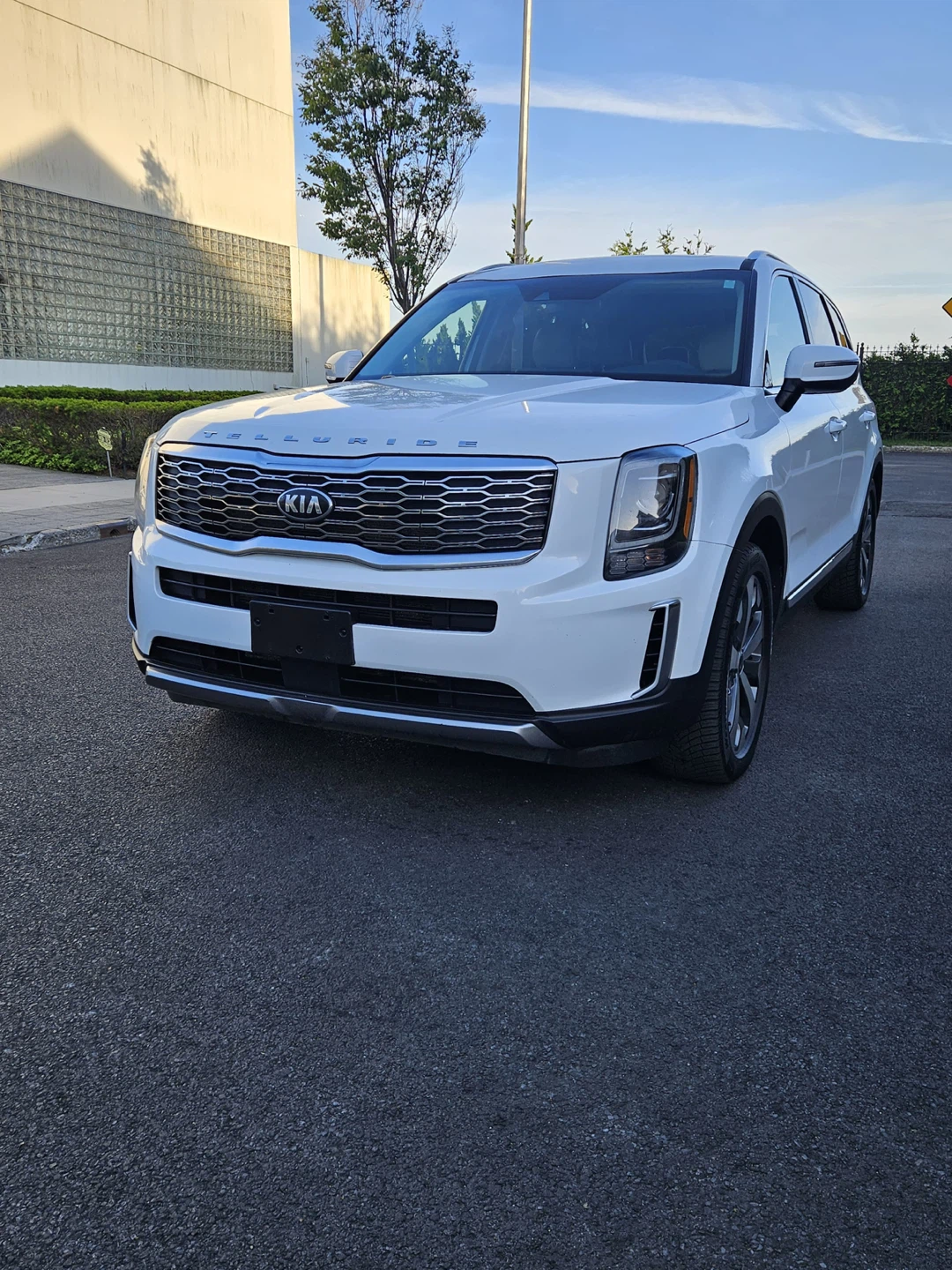 White Kia Telluride EX V6 SUV