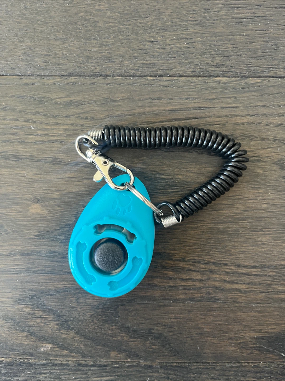 Pet Training Clicker