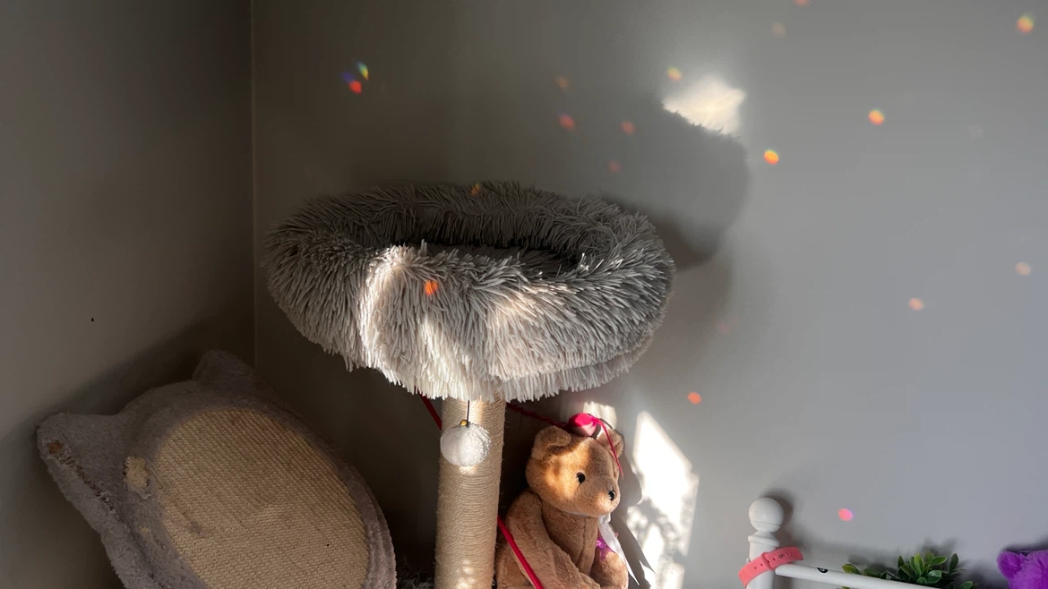 JUMP! Mimi Cat Tree - Super Sturdy & Tall - $100 (OBO)
