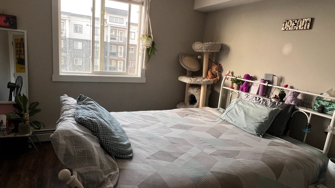 Queen White Metal Bed Frame with Charging Plugs and LED lights