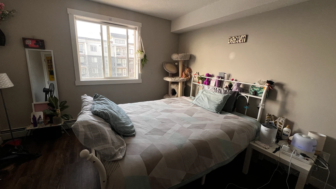 Queen White Metal Bed Frame with Charging Plugs and LED lights - photo 2