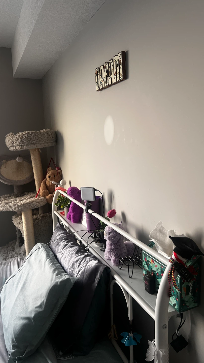 Queen White Metal Bed Frame with Charging Plugs and LED lights - photo 5