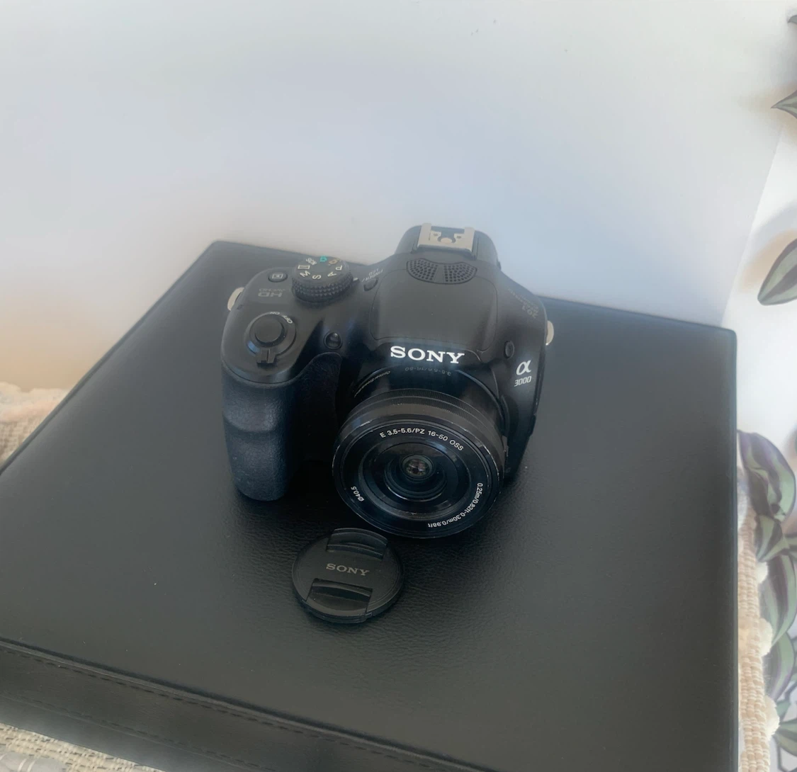 Sony Alpha a3000 Mirrorless Camera - photo 4
