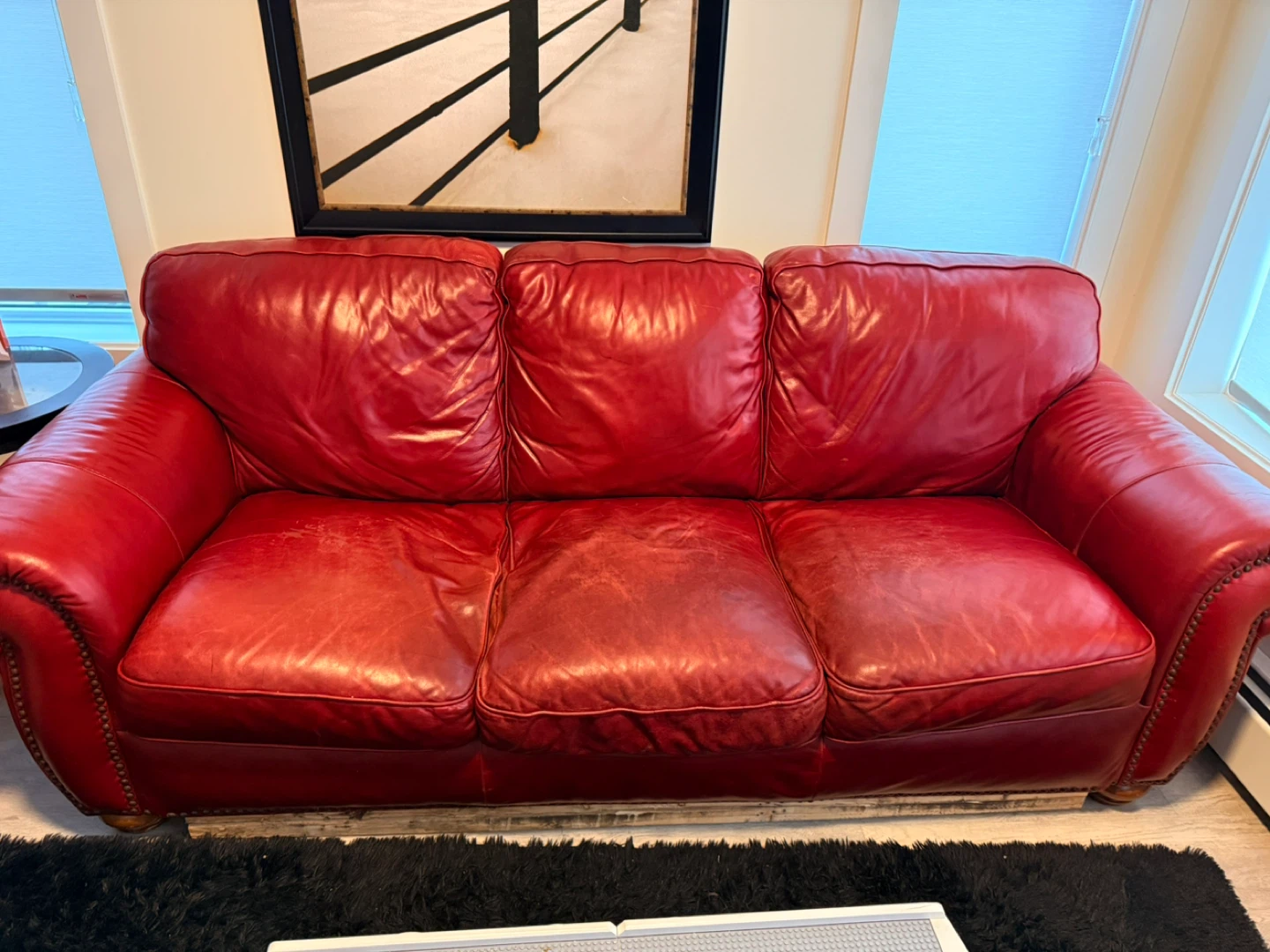 Red Leather Sofa Couch