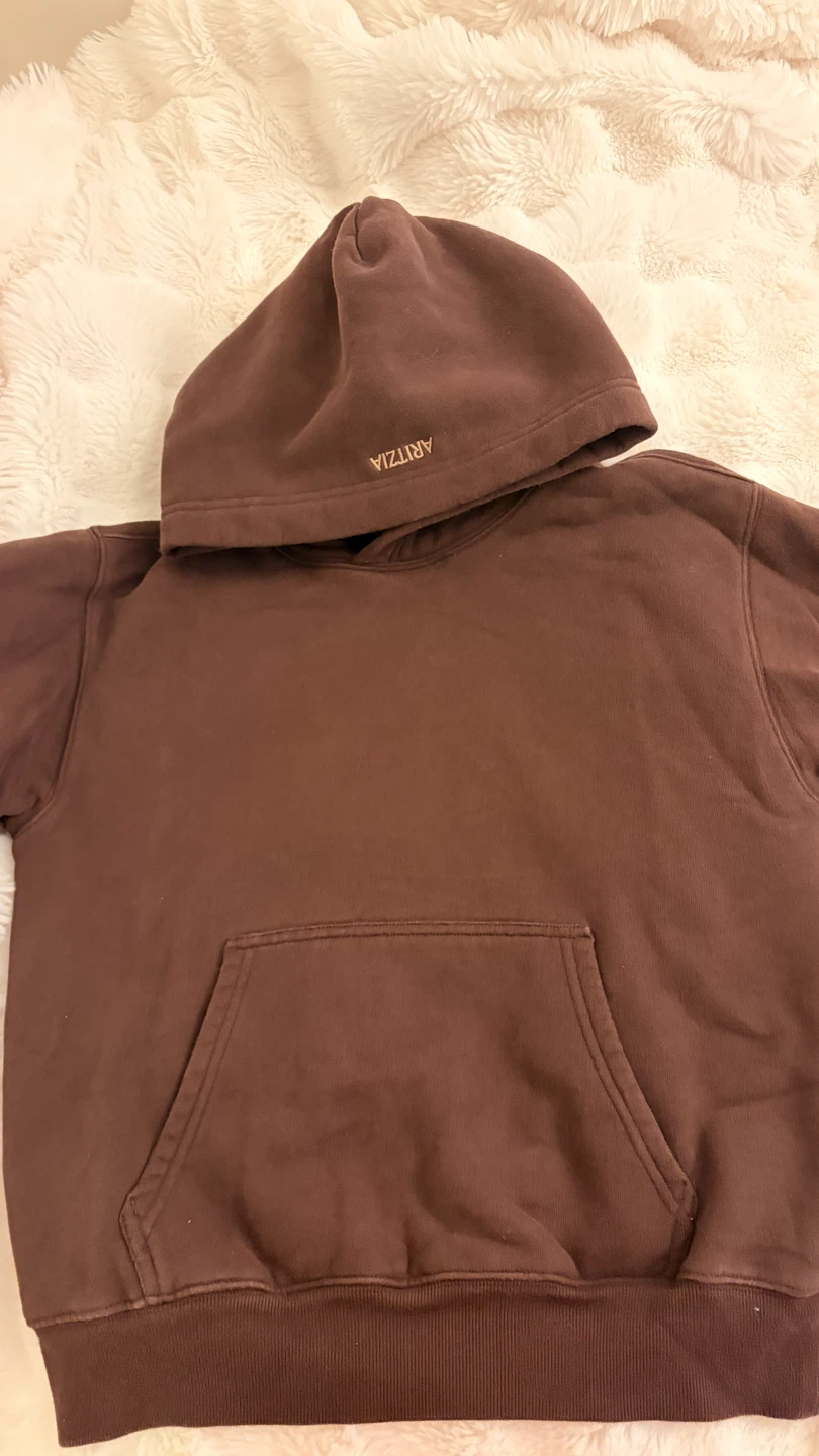 ARITZIA Sweatfleece Hoodie