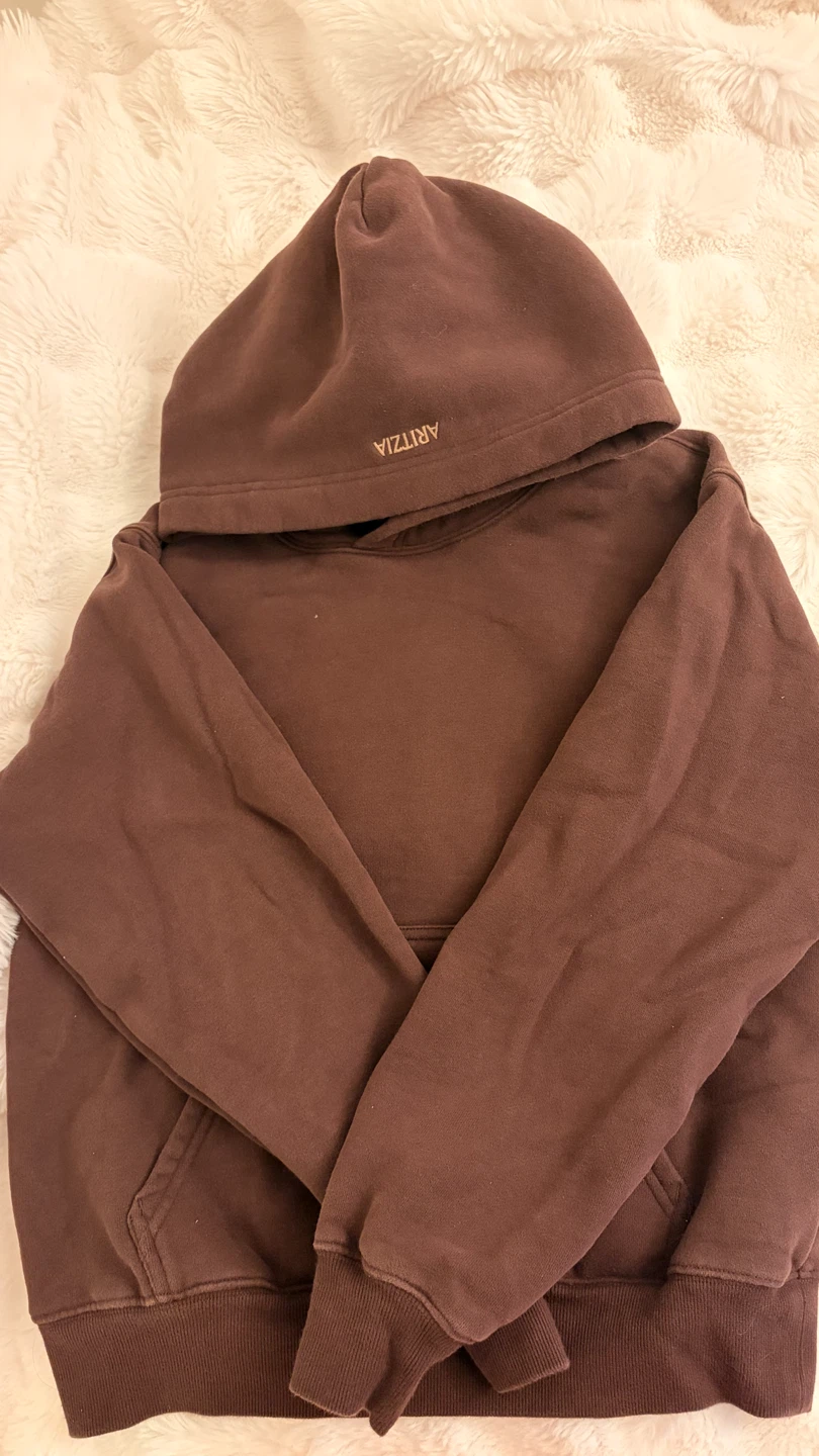 ARITZIA Sweatfleece Hoodie - photo 2