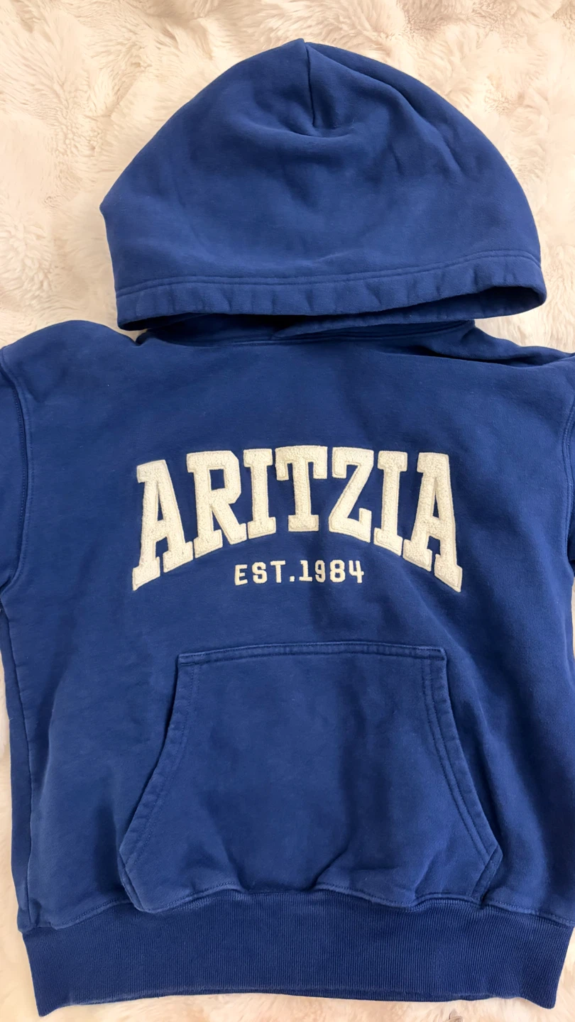 Aritzia Blue Hoodie