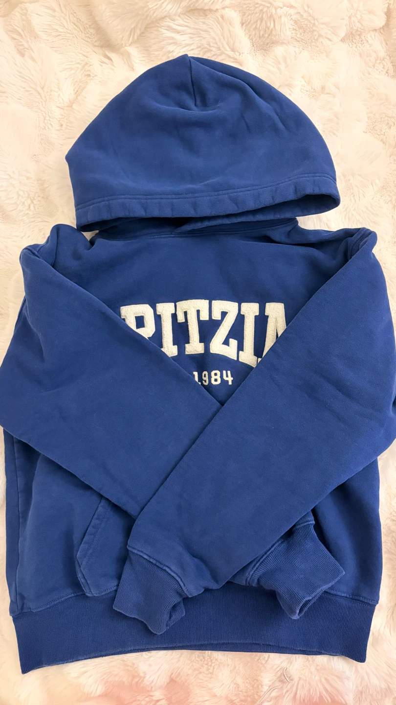 Aritzia Blue Hoodie - photo 2