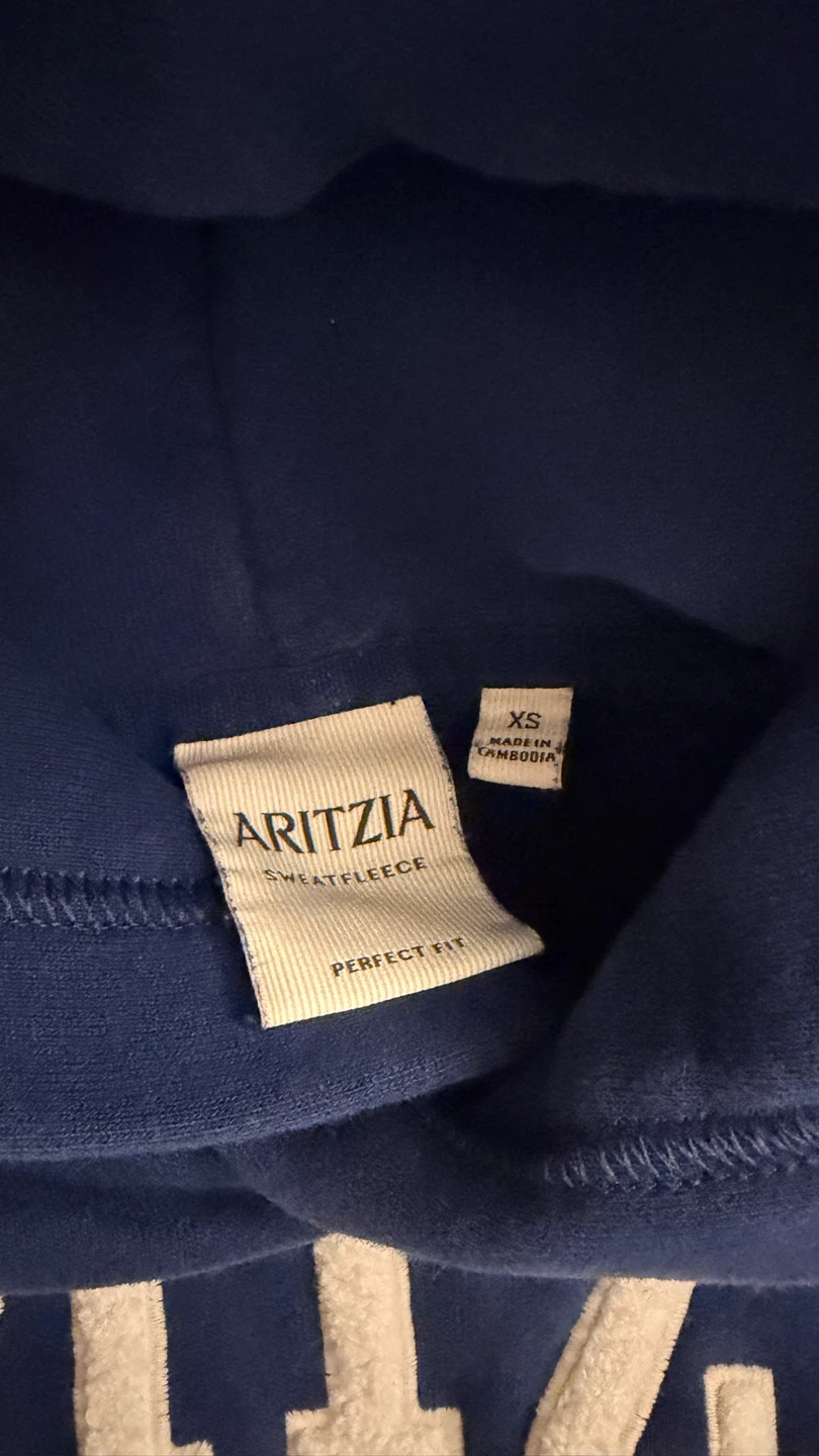 Aritzia Blue Hoodie - photo 3