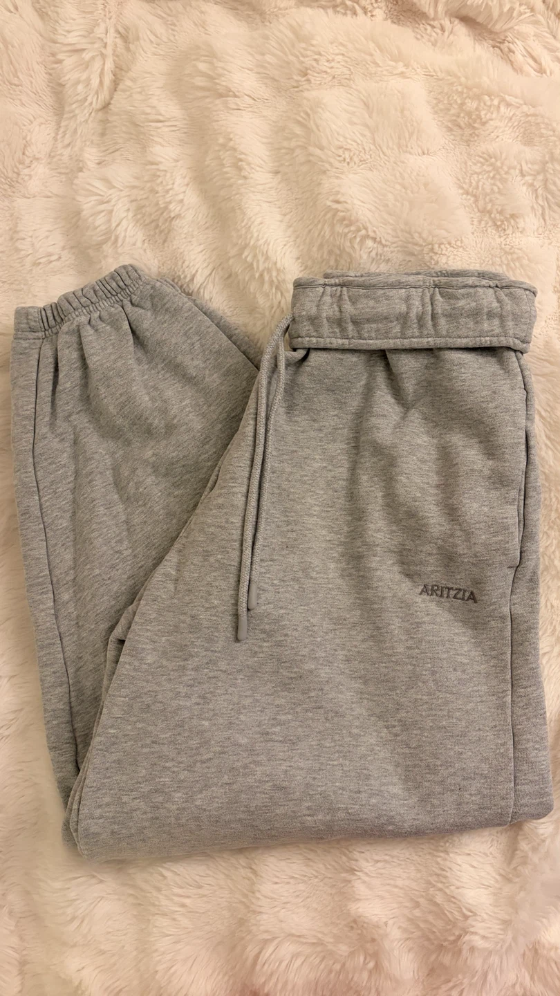 ARITZIA Sweatfleece Mega Fit Sweatpants