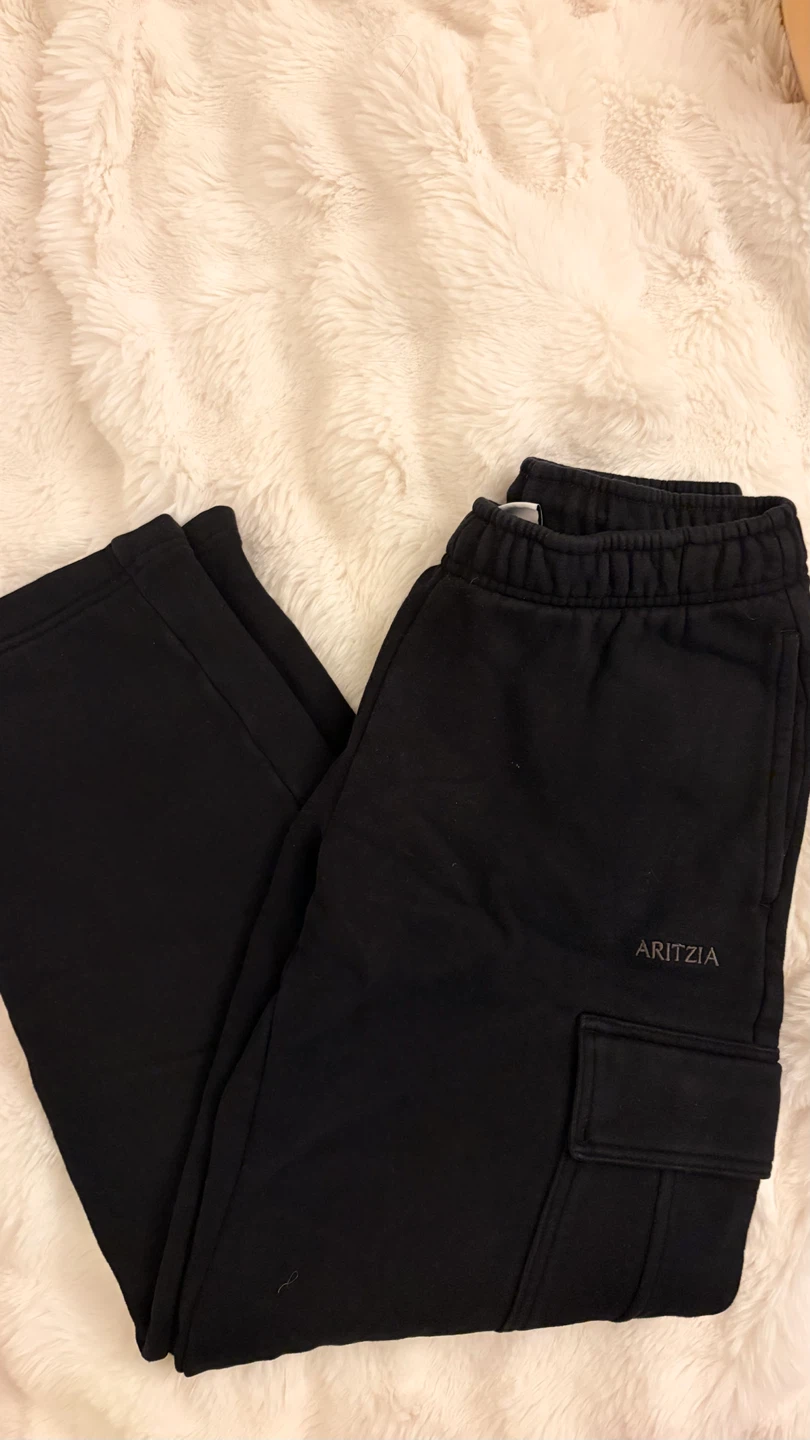 Aritzia Sweatfleece Cozy Fleece Joggers