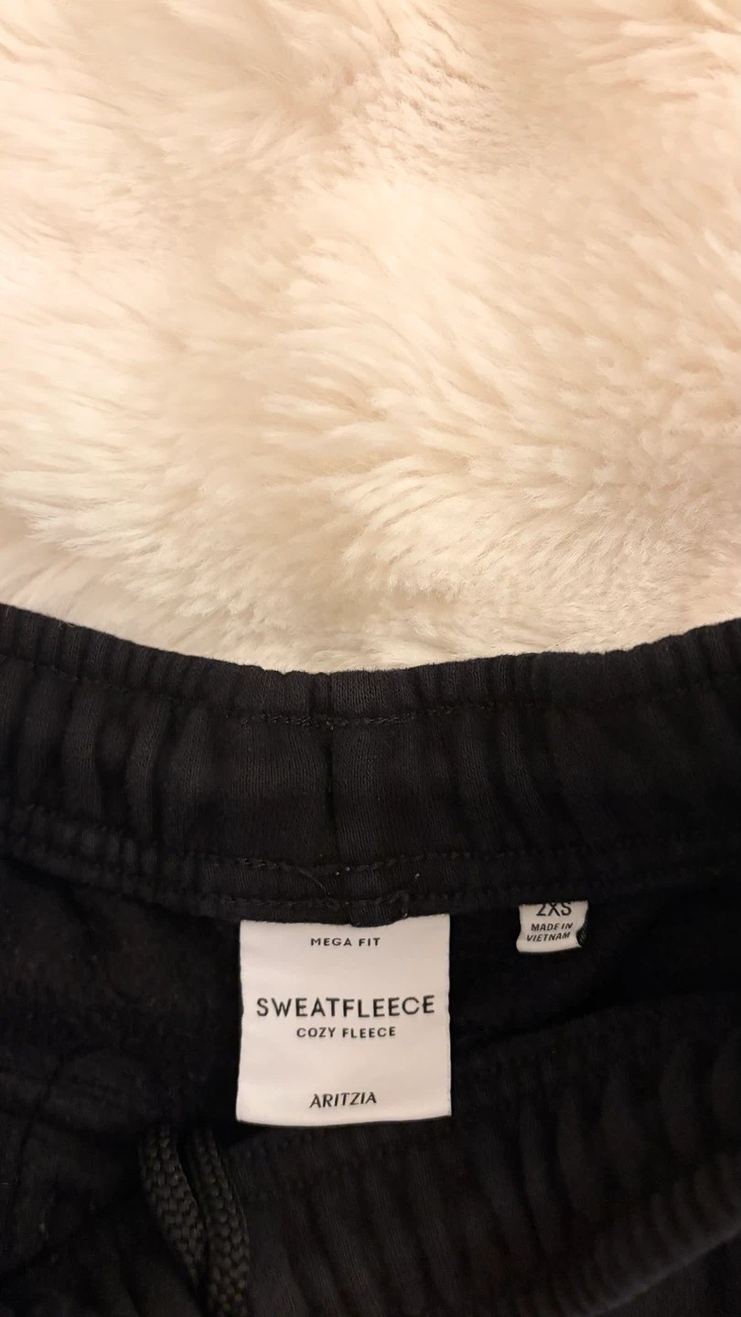 Aritzia Sweatfleece Cozy Fleece Joggers - photo 2