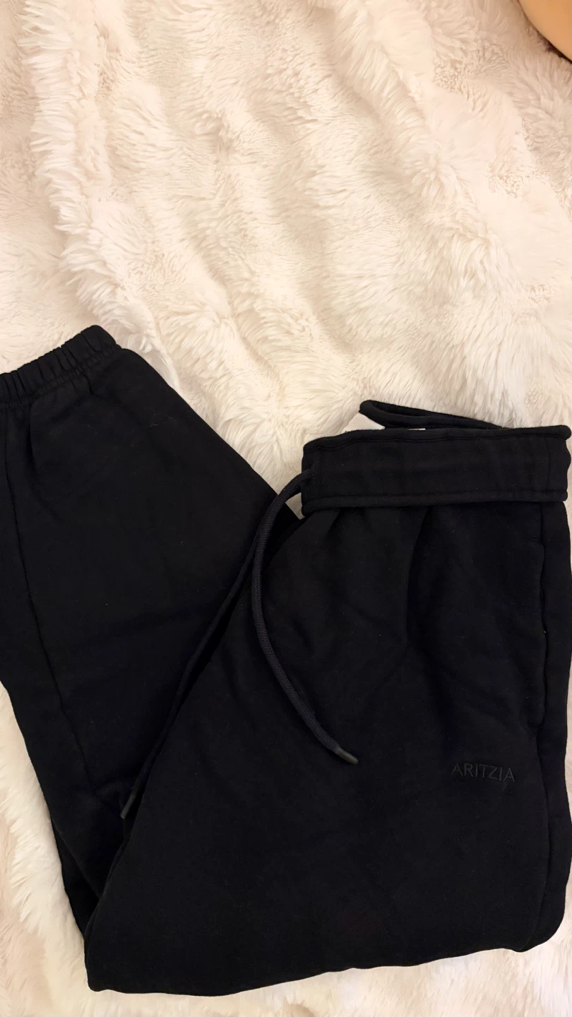Aritzia Sweatfleece Mega Fit Joggers